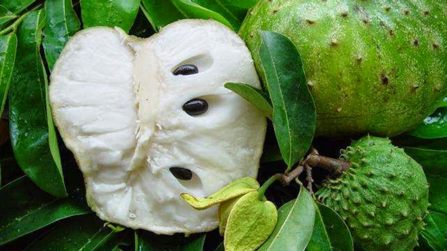 LeFruitmiracleunanticancC3A9reux10000foispluspuissantquelachimiothC3A9rapie