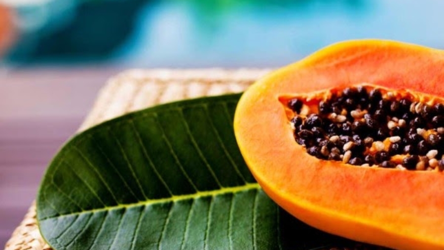 15-health-benefits-of-papaya-600x487-1