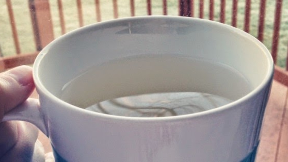 BuvezCettePremi25C325A8rechoselematinpouracc25C325A9l25C325A9rervotrem25C325A9tabolismeetlapertedepoidsENVOL2521