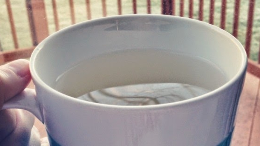 BuvezCettePremi25C325A8rechoselematinpouracc25C325A9l25C325A9rervotrem25C325A9tabolismeetlapertedepoidsENVOL2521