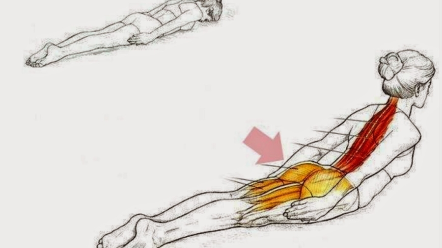 Lemeilleurexercicepourmaintenirunebonneposture