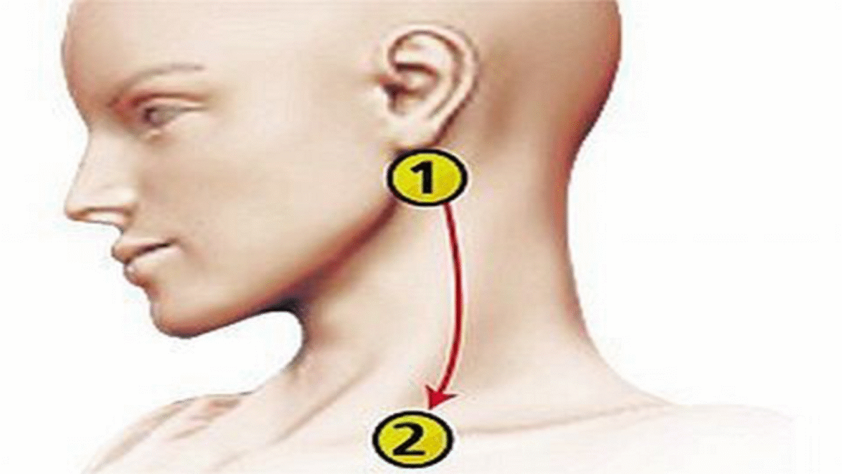 Voicicommentr25C325A9duirelapressionsanguinedans5minutessansl