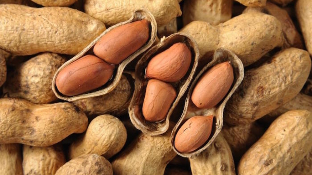 10grammesparjourdecescollationspeutlitt25C325A9ralementvoussauverlavie