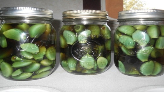 Ail252CApplevinaigredecidreetdemiel-Combinaisonquitraitedenombreusesmaladies252Cdontlecancer