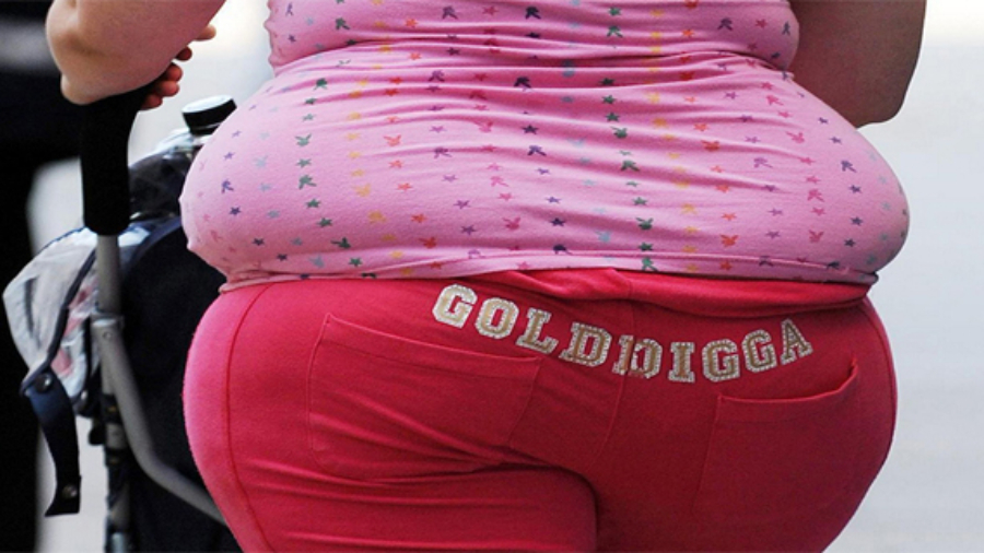 Ilexiste6typesdeLesgens.Dansquelgroupeappartenez-vous