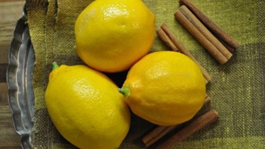 M25C325A9langercitronetlacannellepourunevari25C325A9t25C325A9debienfaitspourlasant25C325A9