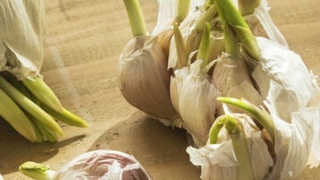 Nejetezjamaisl25E225802599ailgerm25C325A9252Cc25E225802599estlemeilleurdesantibiotiquesleplusr25C325A9volutionnaire252Cilamillefoisplusdepropri25C325A9t25C325A9scuratives2521