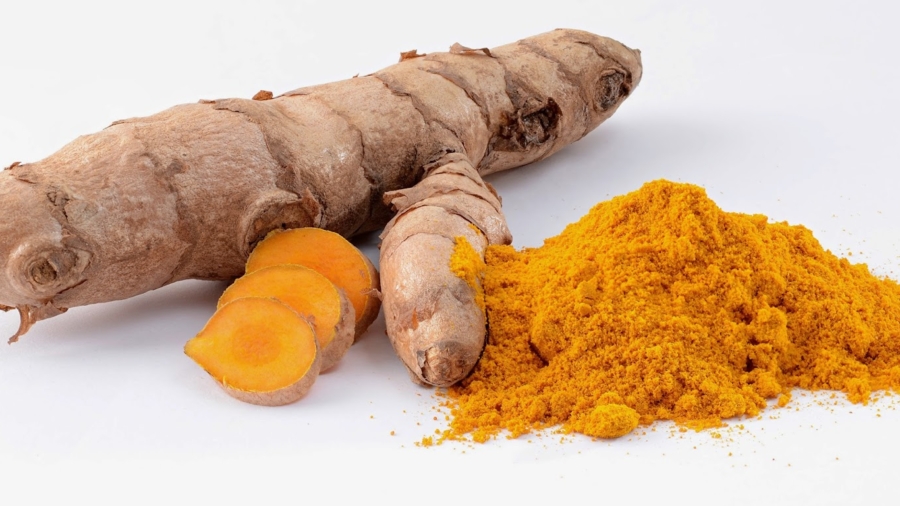 UnC3A9piceanticancC3A9reuxparexcellencesespropriC3A9tC3A9sthC3A9rapeutiquessanscesse