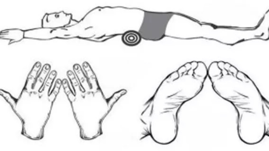 Am25C325A9liorezvotrepostureetdeperdrevotrepoidssansfaimAllongezSeulement3Xparjourpendant5minutes252Cmaisdecettemani25C325A8re2521