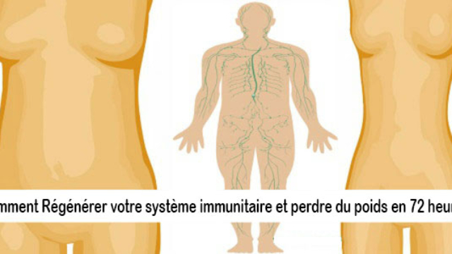 CommentR25C325A9g25C325A9n25C325A9rervotresyst25C325A8meimmunitaireetperdredupoidsen72heures
