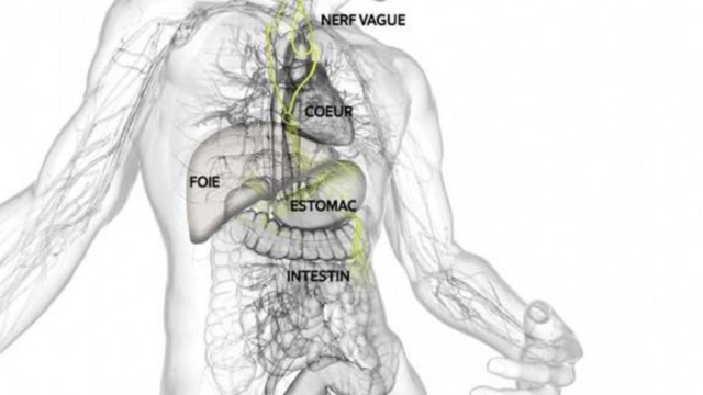 Relationentreles25C325A9motionsetcertainesmaladies