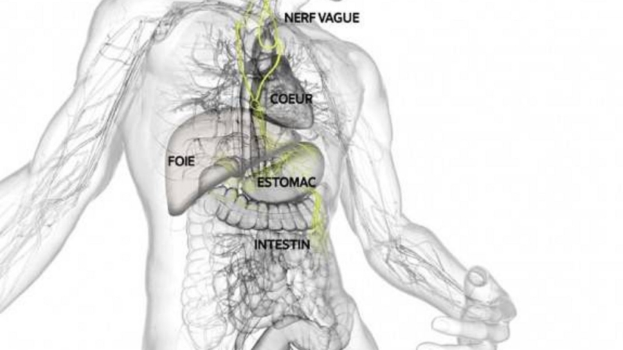 Relationentreles25C325A9motionsetcertainesmaladies
