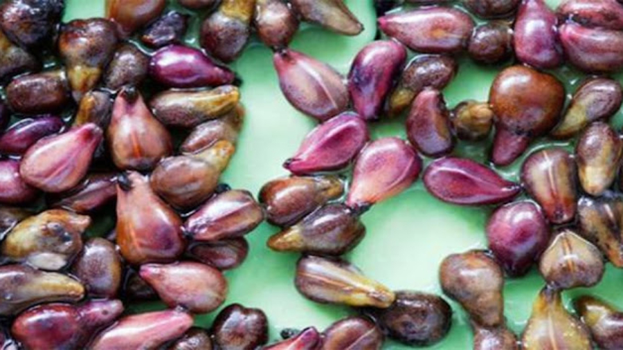 Uned25C325A9couverter25C325A9volutionnairequiresteencorecach25C325A9e