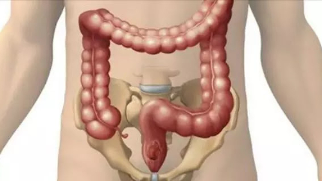 VoilaCommentJetezLivresdeToxinesdeVotreCorps