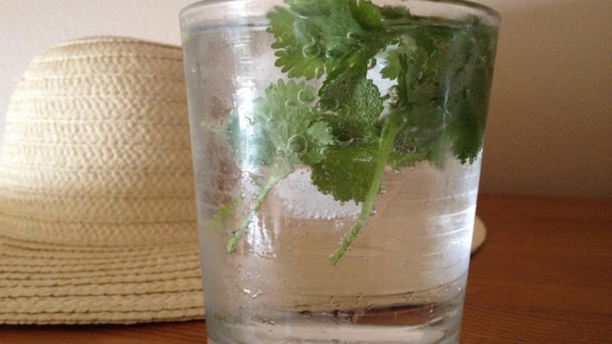 VousAvezDesProbl25C325A8mesAvecLesCalculsR25C325A9nauxVoiciCommentNettoy25C325A9NaturellementVosReins2521