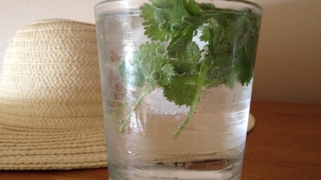 VousAvezDesProbl25C325A8mesAvecLesCalculsR25C325A9nauxVoiciCommentNettoy25C325A9NaturellementVosReins2521