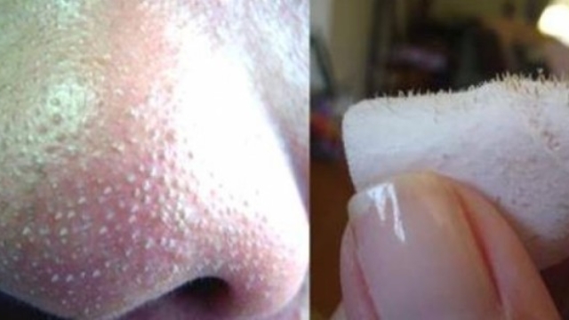 22465c2d6e206cfd15114375a036c1e6.600x