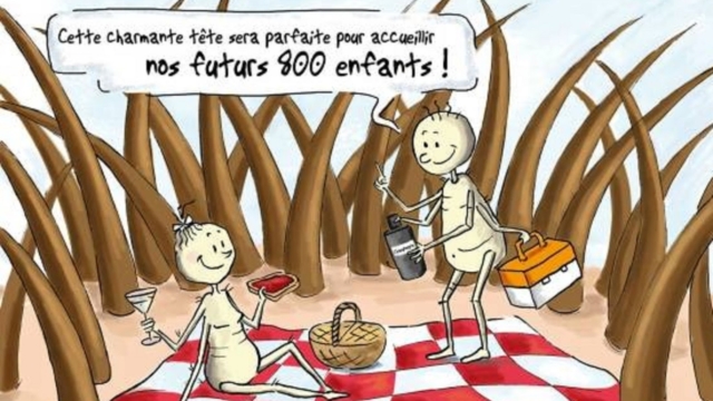 5Rem25C325A8desmaisonefficacespourtraiterlespouxdet25C325AAte