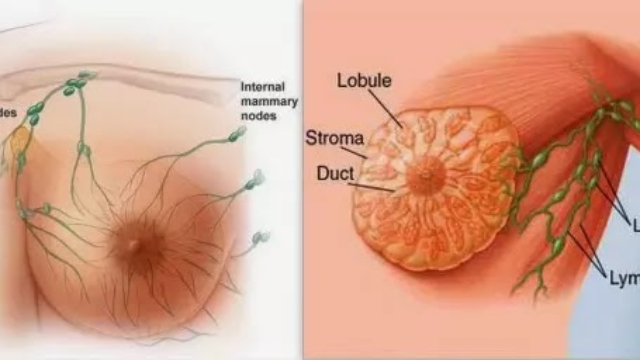 Aluminiumdanslesd25C325A9odorantspeuventcauserlecancerdusein-Utilisezcetteoptionpour25C32589liminerodeurcorporelle2521