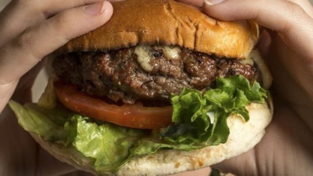 Ilyadelamati25C325A8ref25C325A9caledanslaquasi-totalit25C325A9deshamburgers