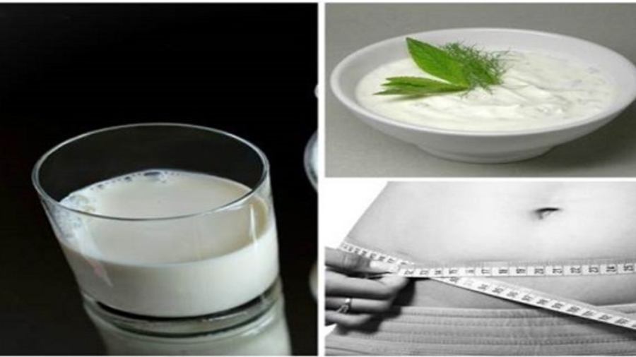 Ler25C325A9gimeyogourtEssuyer4livresen3jours