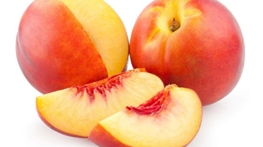 Lesp25C325AAchestorturentlescellulescanc25C325A9reusesetlespoussent25C325A0sesuicider1