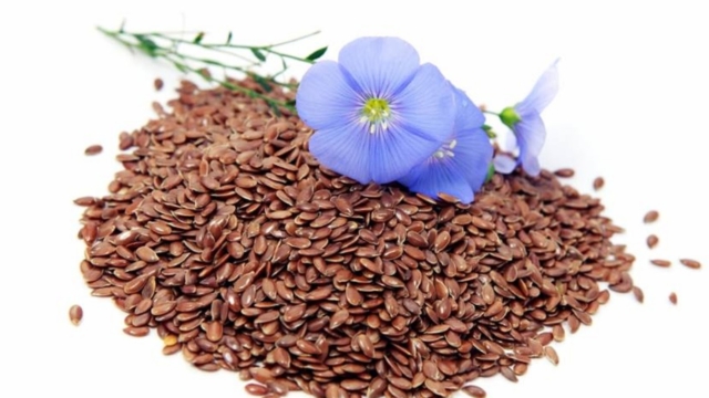 Unepilule253Bunepetitegranuleavecdesgrandseffets