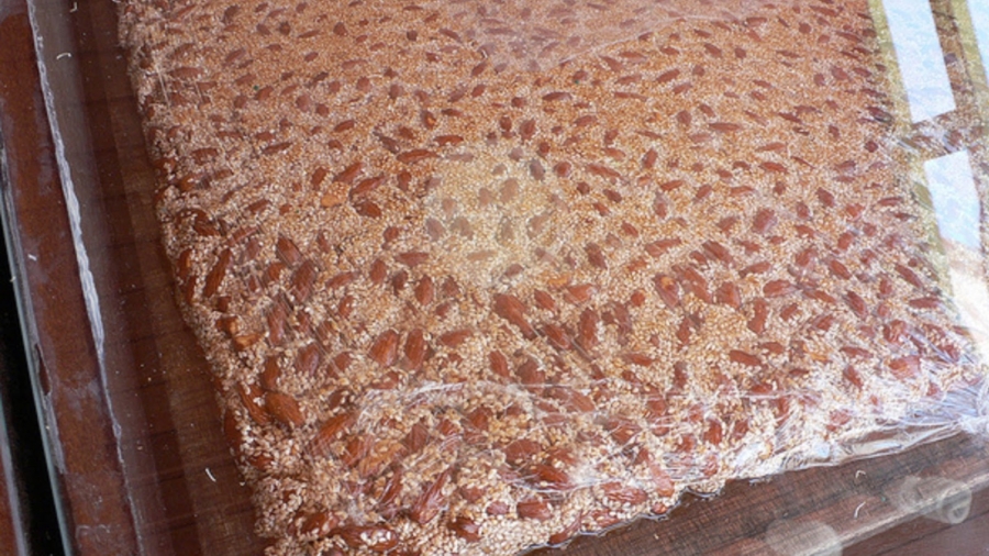 Unrem25C325A8denaturelquidatede6000ans252Cquir25C325A9duitlestriglyc25C325A9ridesetemp25C325AAchedenombreusesmaladies