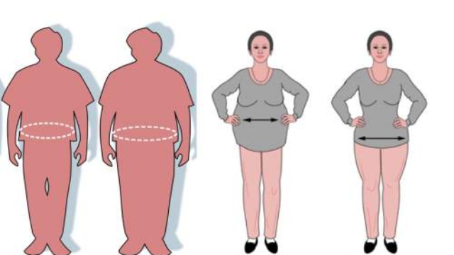 Commentsed25C325A9barrasserdevotreexc25C325A8sdegraisseensachanto25C325B9vousleportez2521