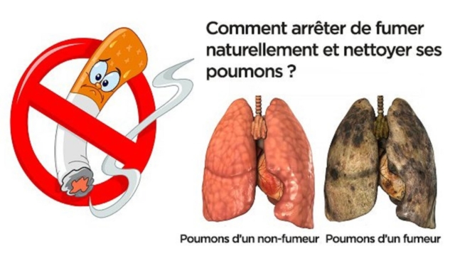 Suivezces12conseilspourarr25C325AAterdefumernaturellementetnettoyersespoumons2521