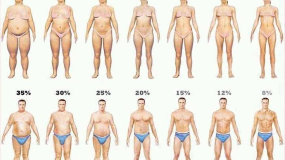 Unecuill25C325A8re25C325A0caf25C325A9simpledecequivousaidera25C325A0perdre3foisplusdegraissecorporelle