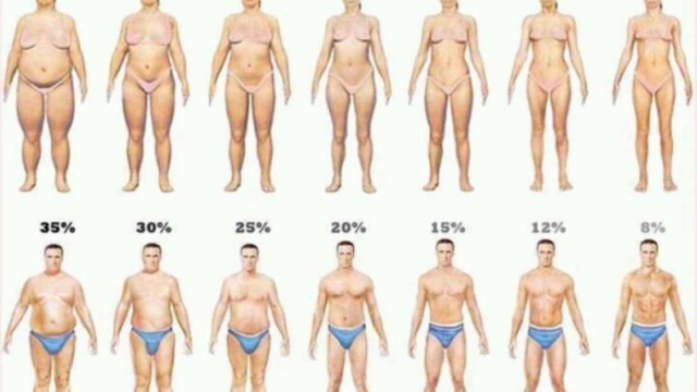 Unecuill25C325A8re25C325A0caf25C325A9simpledecequivousaidera25C325A0perdre3foisplusdegraissecorporelle