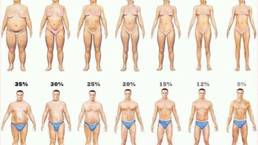 Unecuill25C325A8re25C325A0caf25C325A9simpledecequivousaidera25C325A0perdre3foisplusdegraissecorporelle