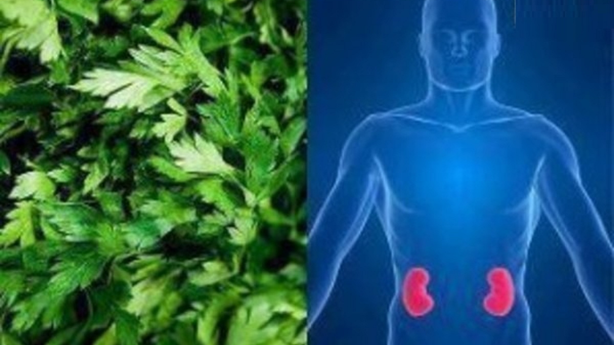 VOUSsouffrezdesprobl25C325A8mesdecalculsr25C325A9naux252CVoicicommentnettoyervosreinsnaturellement2521