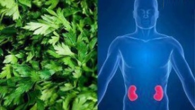 VOUSsouffrezdesprobl25C325A8mesdecalculsr25C325A9naux252CVoicicommentnettoyervosreinsnaturellement2521