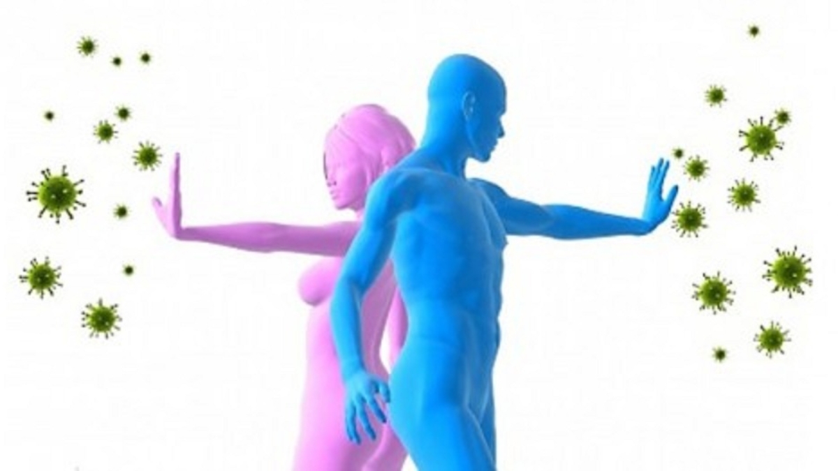 Commentrenforcersesd25C325A9fensesimmunitairesnaturellement