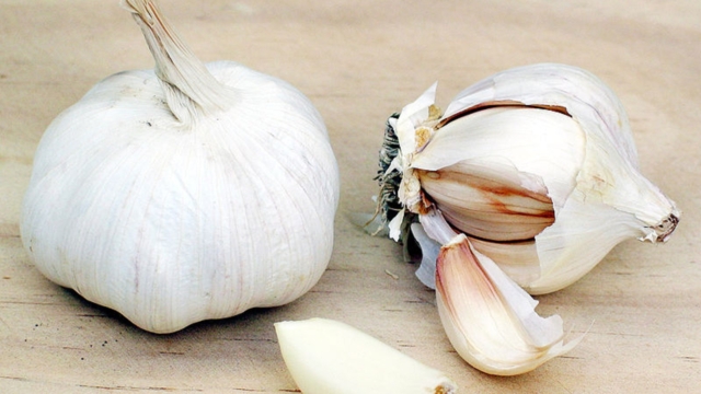 L25E225802599ailtue14typesdecanceret13typesd25E225802599infection