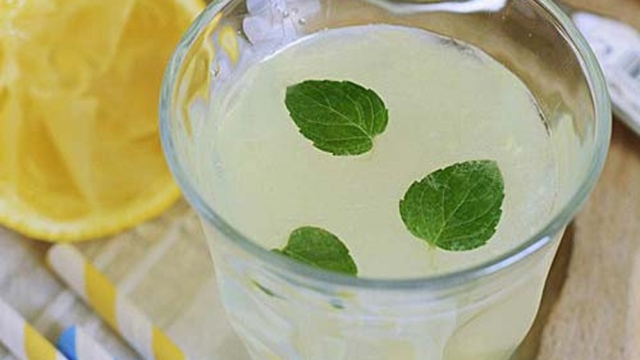 Nettoyervotrecorpsdestoxinesetperdredeskilossuppl25C325A9mentaires25219kgpendant14jours