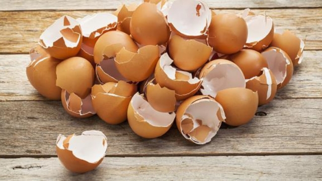 Pourquoijeterlorsquel2527onpeutrecycler