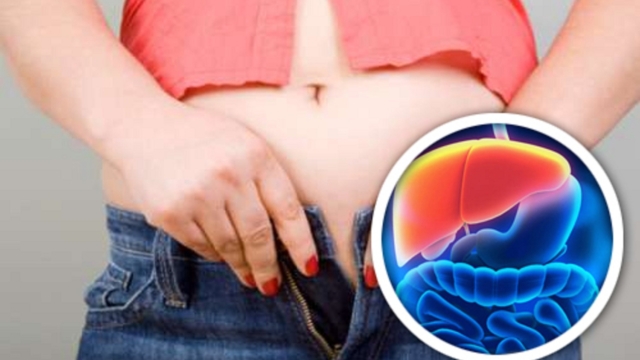 VoicicommentpurifierLesToxinesstock25C325A9esdansvoscellulesgraisseuses