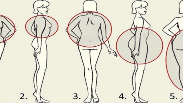 5Loispourlapertedepoidspourchaquepartieducorps253BCuisses252CestomacouFesses2521