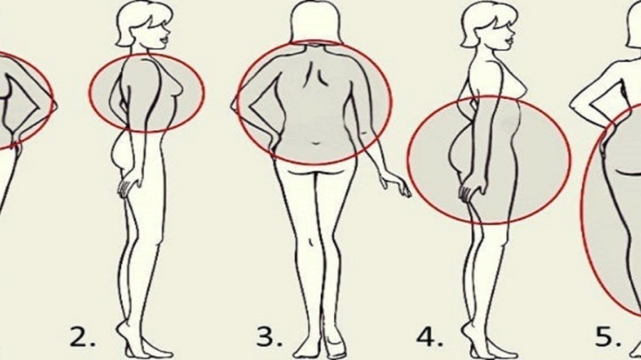 5Loispourlapertedepoidspourchaquepartieducorps253BCuisses252CestomacouFesses2521