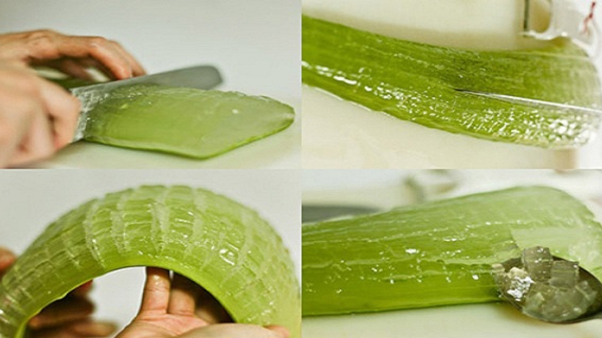 LesRaisonspourlesquellesl2527AloeVeraestuneplantemiracledegu25C325A9rison